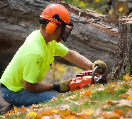 tree services North Rose